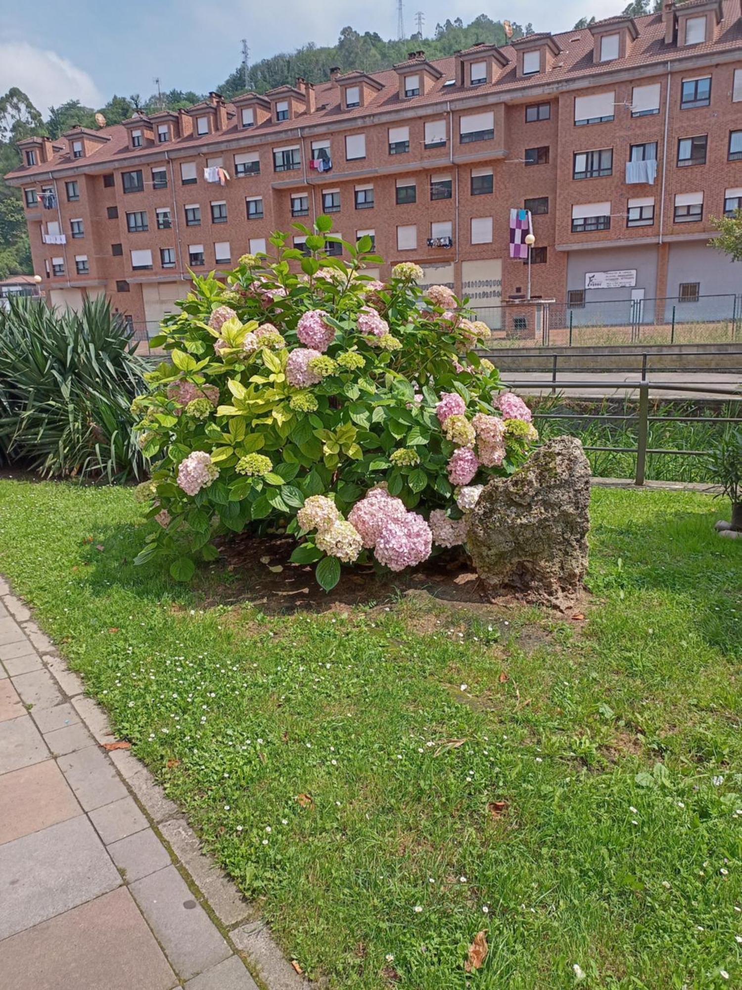 El Refugio De Noa Apartment Миерес Екстериор снимка